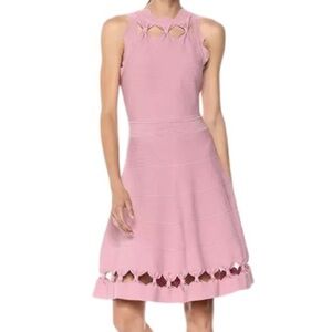 Ted Baker London Cherina Dusty Rose Knit Cutout Skater Fit & Flare Dress Size 3